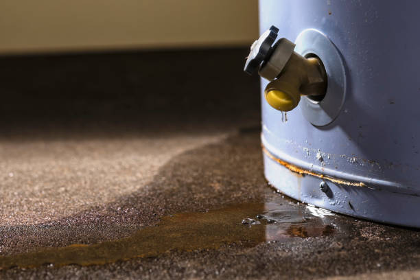 Best Sewage cleanup and water damage restoration  in Fairbank, IA