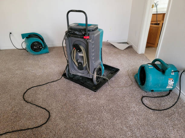 Best Water damage restoration near me  in Fairbank, IA