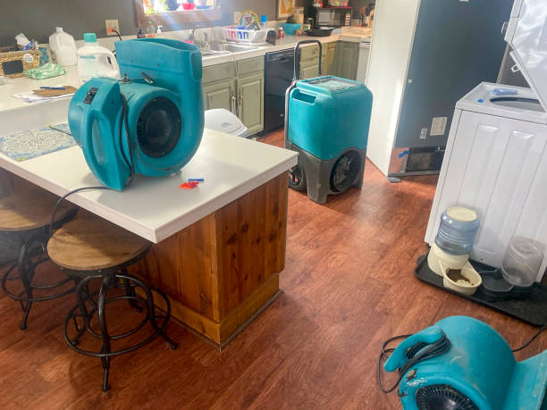 Water damage restoration mold remediation in Fairbank, IA