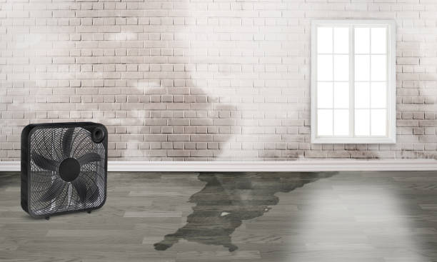 Best Fire Damage Restoration  in Fairbank, IA