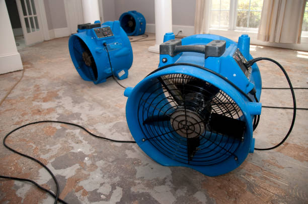 Best Water damage restoration near me  in Fairbank, IA