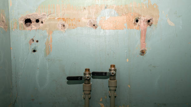  Fairbank, IA Water damage restoration Pros